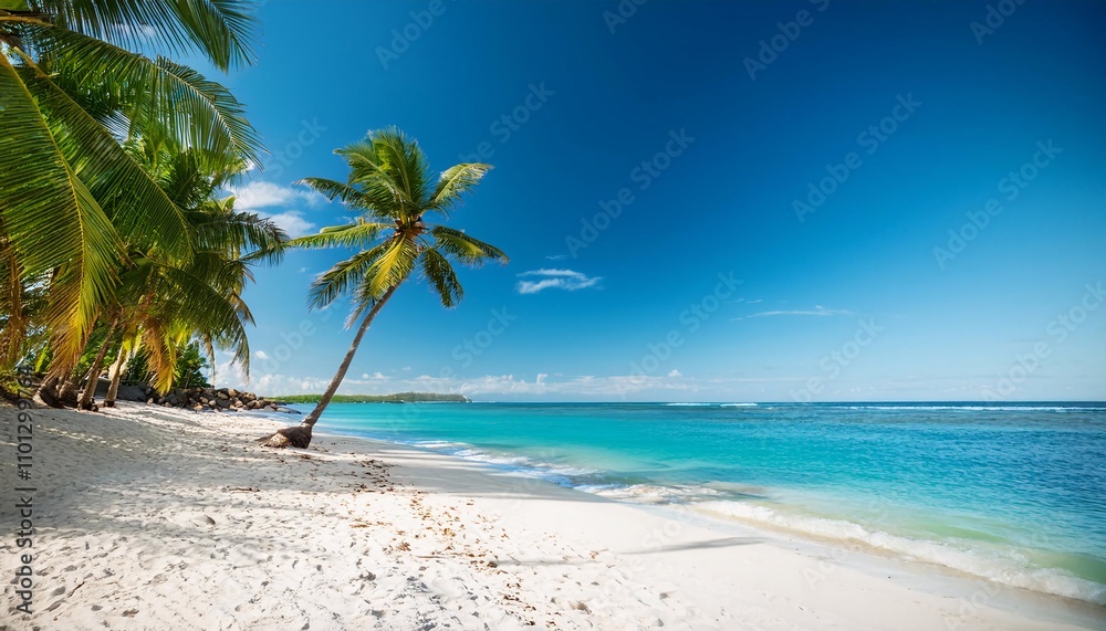 Obraz premium beach with coconut trees
