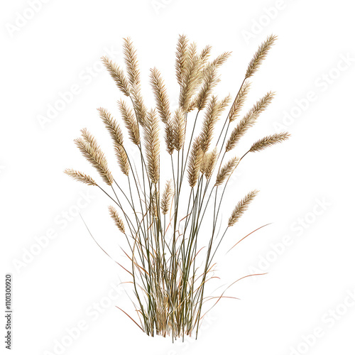 Reed Grass, Generative AI	