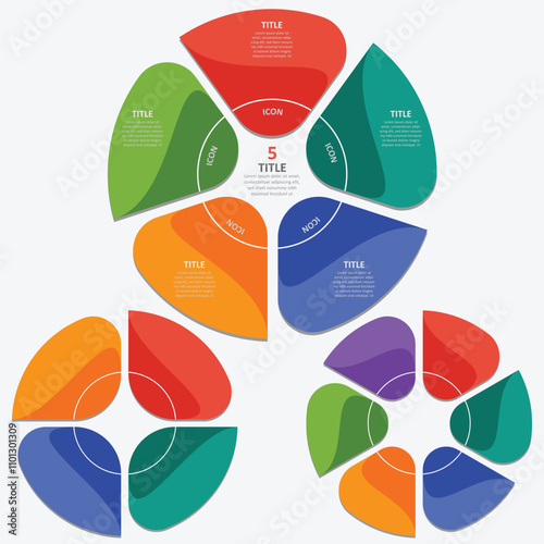 Circle aesthetic chart infographic template with 5 options vector image