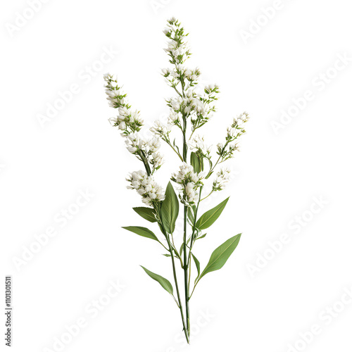 Reed Grass, Generative AI	