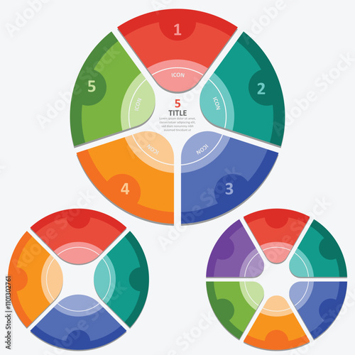 Circle chart infographic template with 4,5,6 options vector image