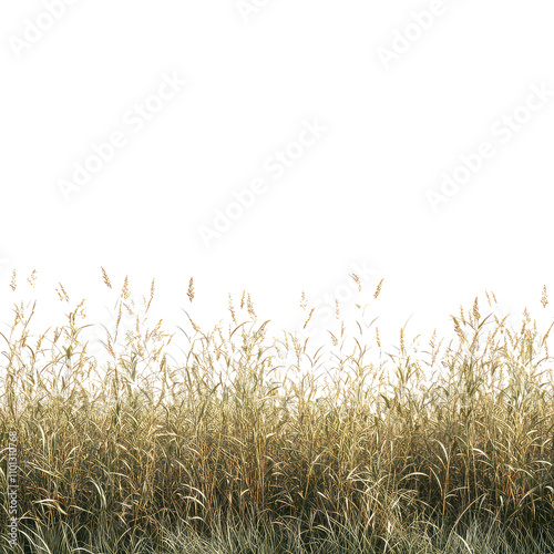 Reed Grass, Generative AI	