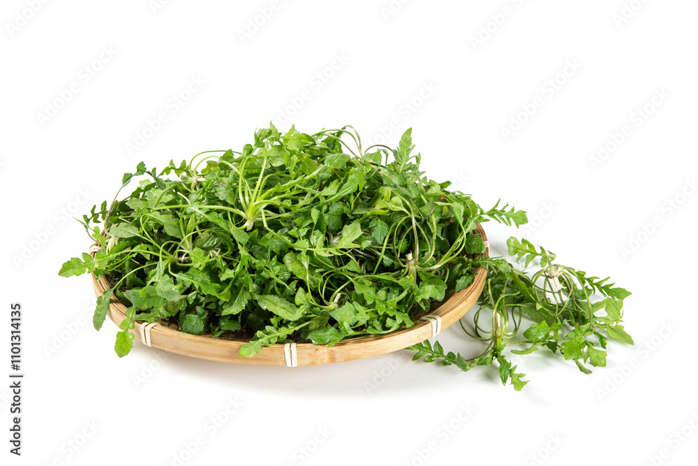 fresh shepherd's purse vegetable isolated on white background. fresh shepherd's purse vegetable isolated on white background.