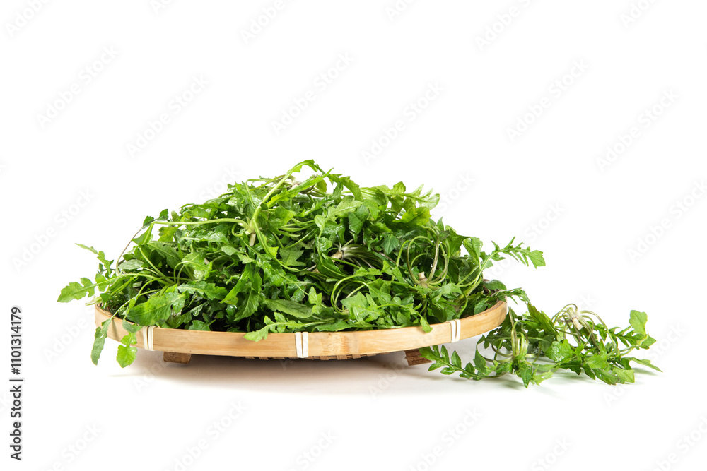 Fototapeta premium fresh shepherd's purse vegetable isolated on white background.