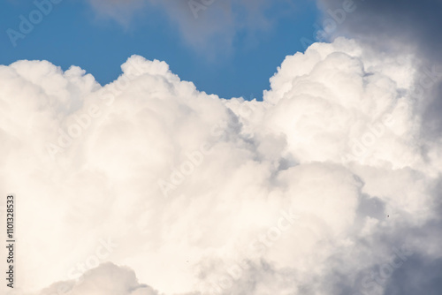 Cumulus congestus
