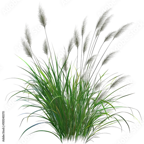Reed Grass, Generative AI	