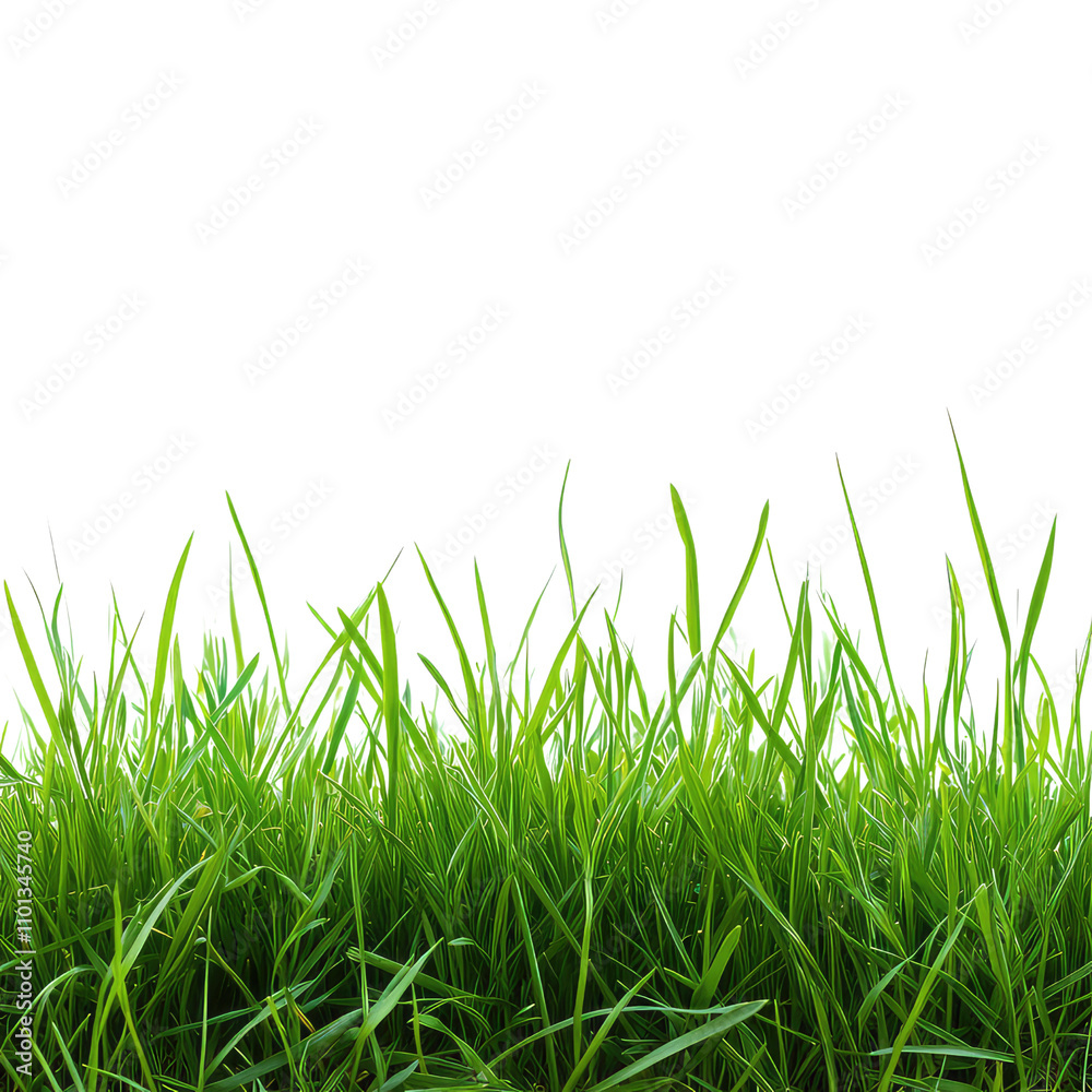 Fototapeta premium Reed Grass, Generative AI 