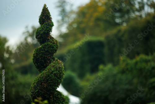 Φωτογραφία Spiraling topiary sculpture in a lush garden during a serene late afternoon