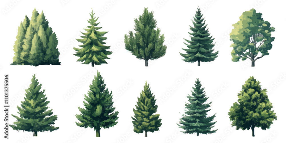 Obraz premium set of tree on a white background