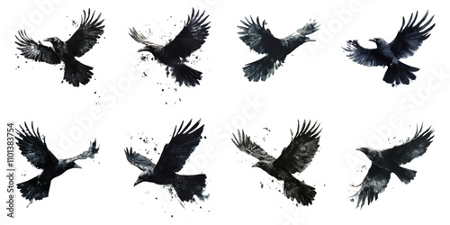 Set of watercolor black crows on white background.