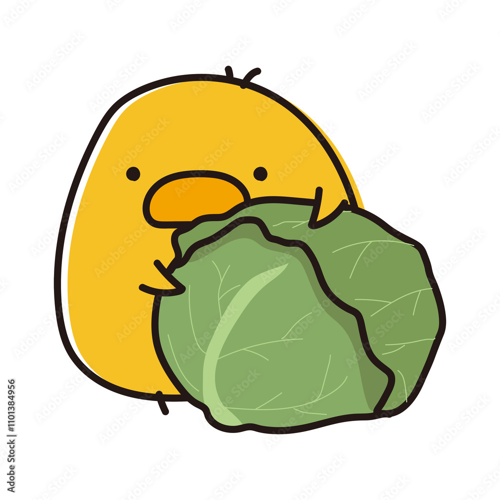 Naklejka premium キャベツを持っているまんまるひよこ