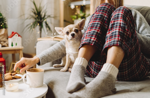 Cozy woman in knitted winter warm socks and sweater and checkered pajama eating cookies with dog, during resting on couch at home in Christmas holidays. Winter hot drink mug of cocoa or coffee