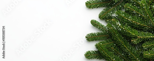 Festive Christmas Tree Branches and Sparkling Tinsel Flat Lay on White Background, Holiday Decor Details with Texture Elements