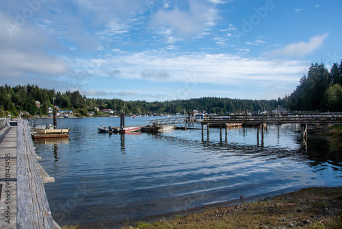 Boats moored in the Harbour, Bamfield, Vancouver Island, British Columbia, Canada photo