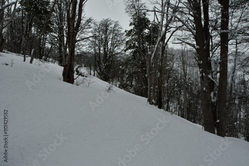  vulcano puyehue winter ski snow forest clouds nature chile photo