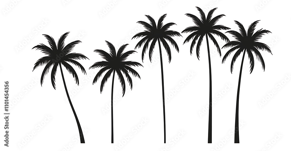 Fototapeta premium Collection of silhouettes of palm trees showing various styles and shapes on white background, Vector illustration