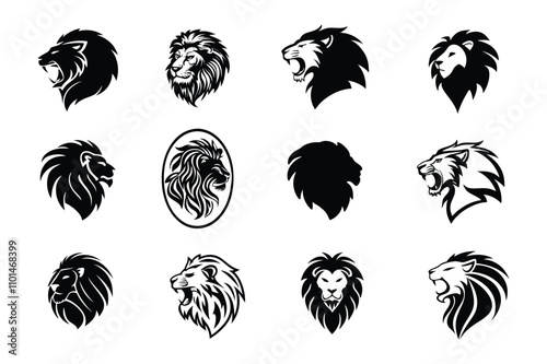 lion head vector set collection. photo