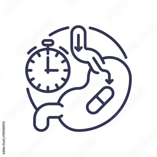 Illustration of a stopwatch and digestive system, symbolizing timing of medication ingestion.
