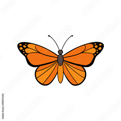 viceroy butterfly vector illustration