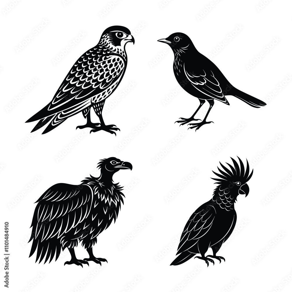Fototapeta premium set of birds