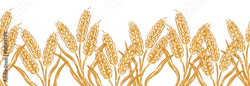 Hand drawn golden wheat seamless border edging pattern ribbon design vector illustration