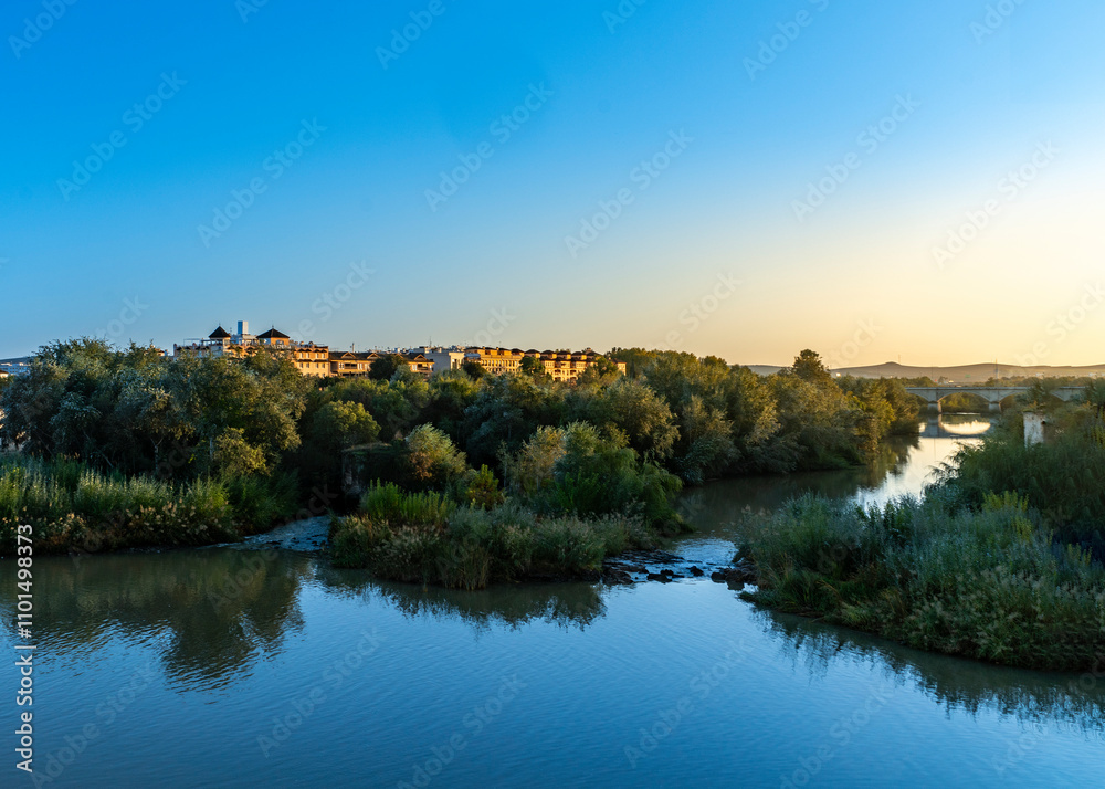Fototapeta premium reflections in the guadalquivir river, cordoba