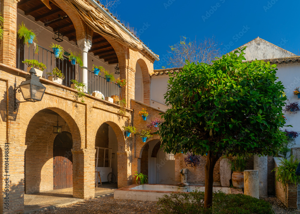 Obraz premium courtyard of the city of cordoba