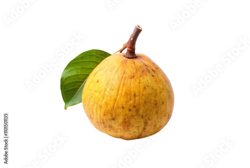 Santol on wooden table tropical fruit illustration design photo