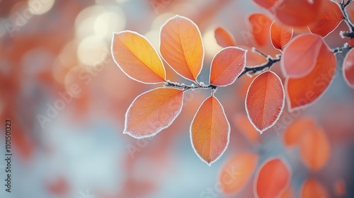 Close-up of frost-covered orange leaves on a branch, creating a serene autumn atmosphere.