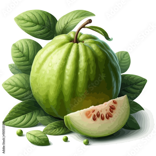 Two Green Gourds with Leaves – Large Round Gourd and Smaller Gourd with Seeds on White Background