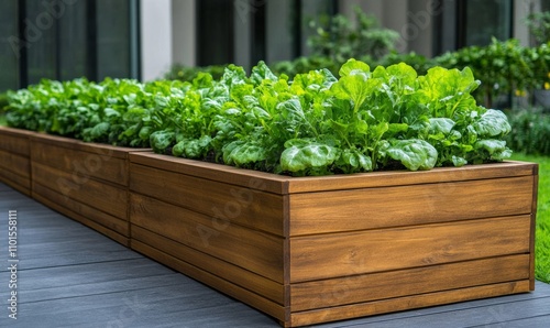 Urban vertical garden with wooden raised beds, growing fresh organic vegetables; vibrant greens and earthy browns 