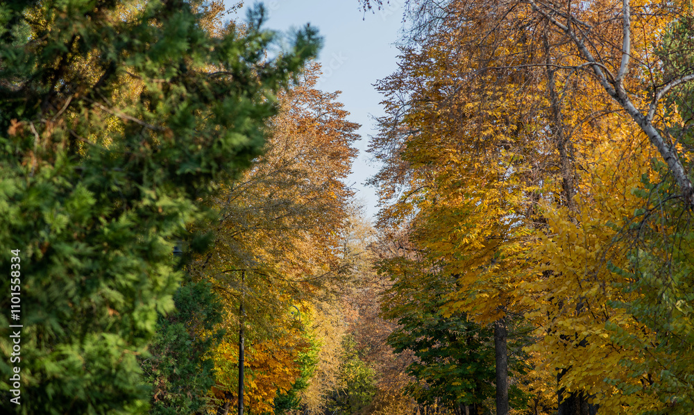 A serene park path is lined with trees showcasing their autumn splendor. The golden and green foliage creates a vivid canopy, with a classic streetlamp adding to the picturesque scene. A serene park path is lined with trees showcasing their autumn splendor. The golden and green foliage creates a vivid canopy, with a classic streetlamp adding to the picturesque scene.