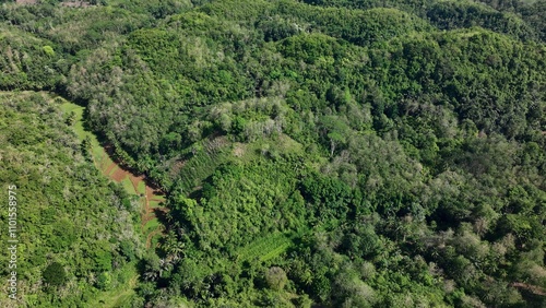 A View of Green Hills under Clear Skies