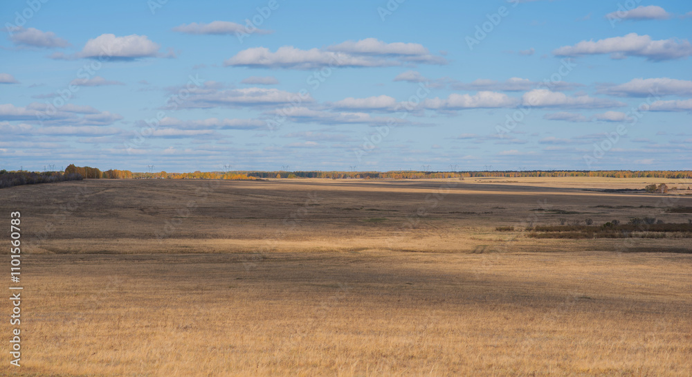 Gentle rolling hills of harvested fields extend towards a vibrant treeline alight with the fiery colors of fall, under a vast sky with wispy clouds. Gentle rolling hills of harvested fields extend towards a vibrant treeline alight with the fiery colors of fall, under a vast sky with wispy clouds.