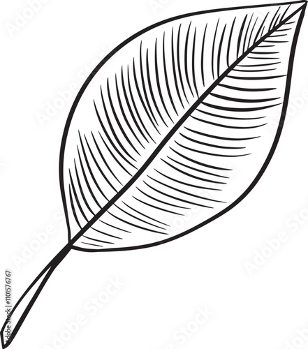 Leaf Rounded Graphic Black and White Illustration for Print and Web Design of Physical Products and Projects