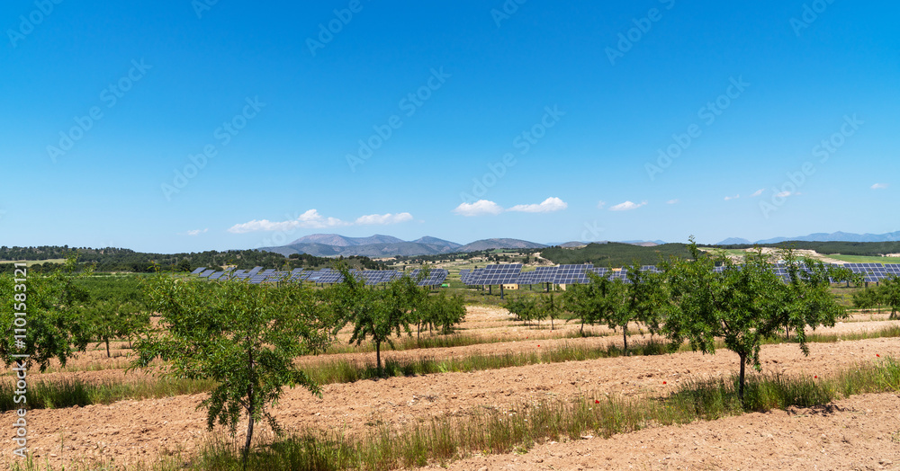 A field of young almond trees stretches across the landscape under a bright blue sky. In the distance, rows of solar panels stand against the backdrop of rolling hills and mountains. A field of young almond trees stretches across the landscape under a bright blue sky. In the distance, rows of solar panels stand against the backdrop of rolling hills and mountains.