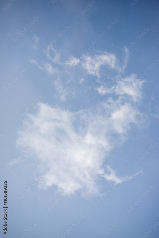 A blue sky with a cloud that looks like a bird A blue sky with a cloud that looks like a bird