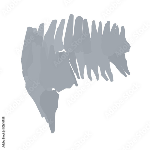 Types of tooth silhouette. Various human tooth with roots, molars, premolars, canines. Vector illustration.