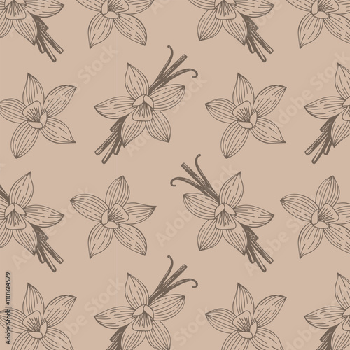 Pattern with aromatic spices Vanilla, pattern with flowers and vanilla sticks on craft beige background.