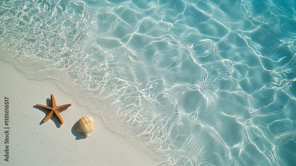 starfish and shell resting on sandy beach, surrounded by clear turquoise water. sunlight creates beautiful reflections on water surface, enhancing serene atmosphere starfish and shell resting on sandy beach, surrounded by clear turquoise water. sunlight creates beautiful reflections on water surface, enhancing serene atmosphere