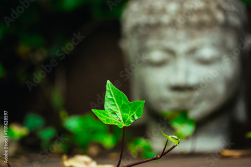 Grey stone statue head face of Buddha as symbol of harmony, Buddhism religion. Place for meditation in asian garden among green leaves vertical photo. Old antique statue, Bhagwan or Lord Goutam Buddha photo