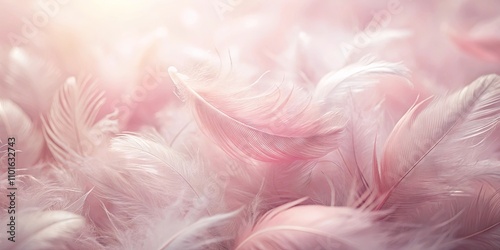 Soft Pink and White Feathers in Gentle Light A Delicate Background Image