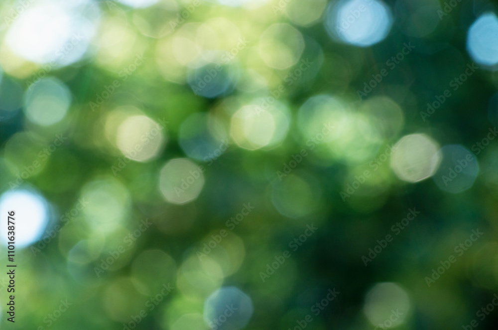 Green bokeh background from nature forest out of focus Green bokeh background from nature forest out of focus