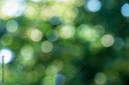 Green bokeh background from nature forest out of focus