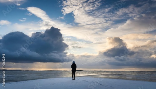 Silhouette of a solitary person gazing toward the heavens, immersed in a dreamlike, otherworldly landscape. A powerful depiction of isolation, introspection, and connection to the cosmos.