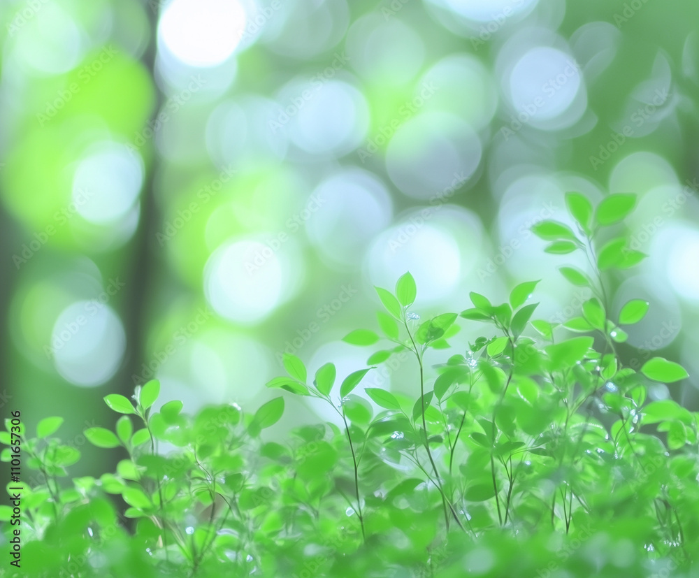 serene image of vibrant green leaves set against a softly blurred, bokeh-style background, capturing the beauty of nature in a peaceful and tranquil scene, perfect for organic and eco-friendly designs serene image of vibrant green leaves set against a softly blurred, bokeh-style background, capturing the beauty of nature in a peaceful and tranquil scene, perfect for organic and eco-friendly designs