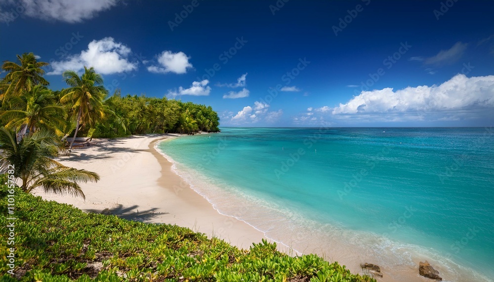 Fototapeta premium Beautiful tropical beach with palm trees, sunset beach seascape, design template for travel banner.