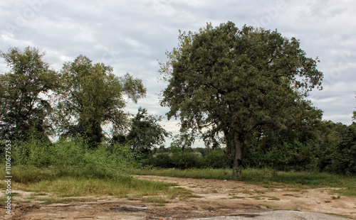 Evening View of Lake Bellwood area located in Tyler Texas photo