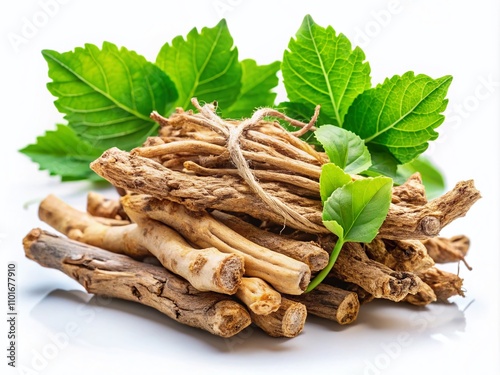 Dried Dong Quai Roots with Green Leaves on White Background - Herbal Medicine Illustration for Natural Remedies and Wellness Practices photo