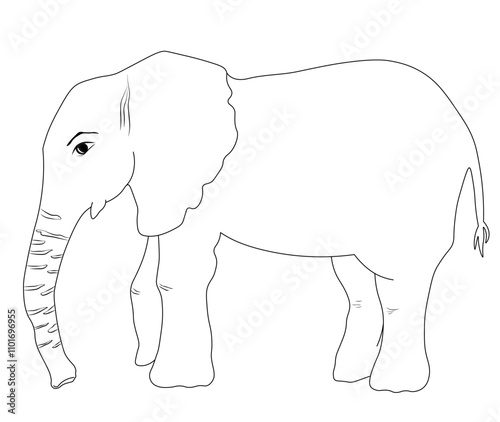 elephant is a large animal at full size. Vector stock illustration. Isolated on white background. 